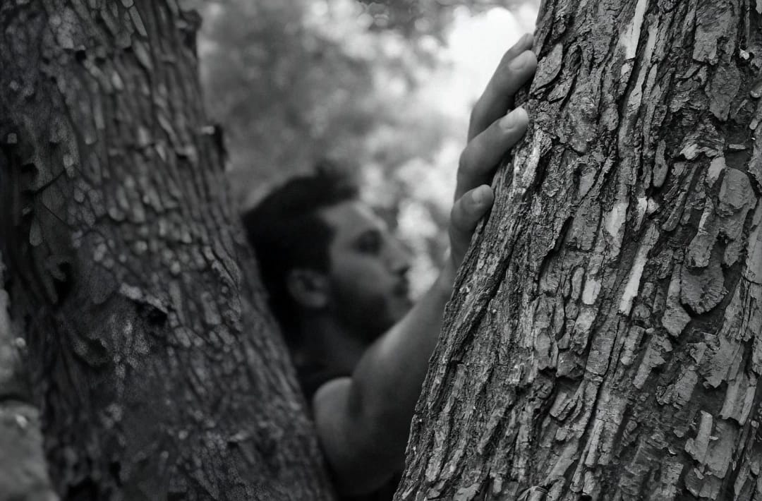Exhibitions by Noureddine Ouarhim