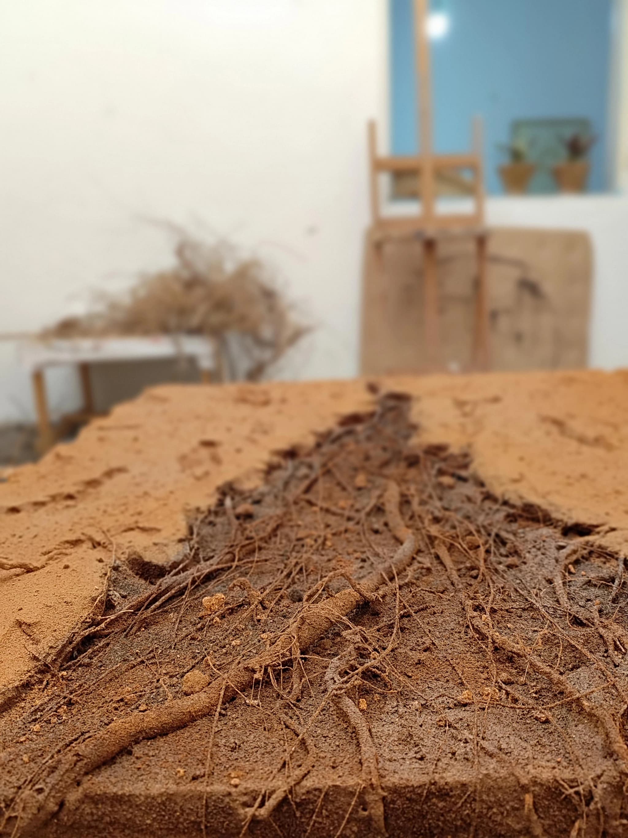Noureddine Ouarhim at work in his studio