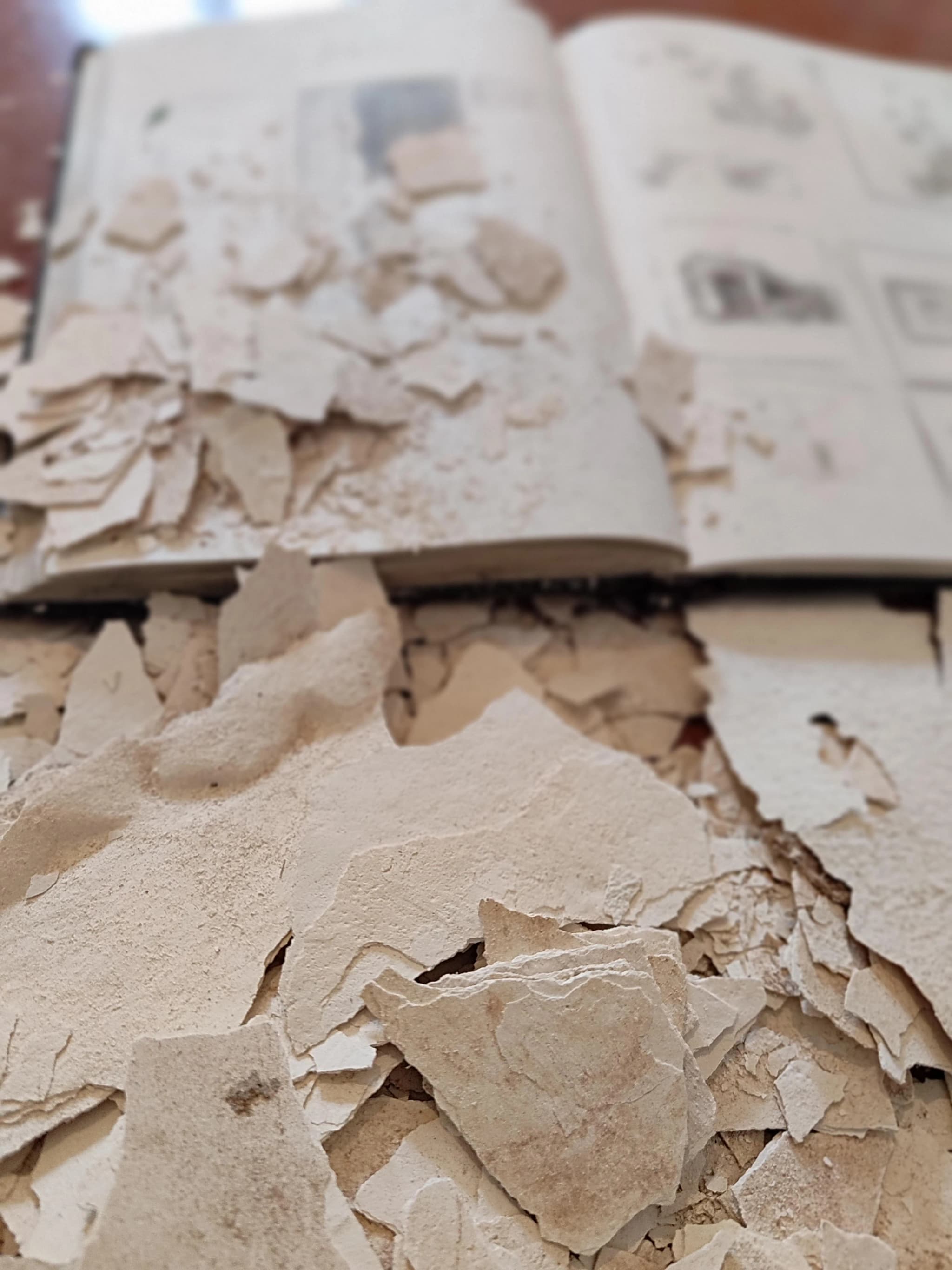 Noureddine Ouarhim at work in his studio